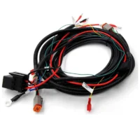 Customized Made Cable Manufacturer Trailer Truck Golf-Gart Vehicles Car Automotive LS Wire Harness