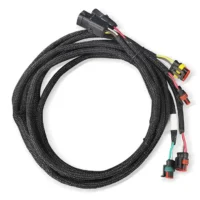 Customized Auto Electrical Wiring Harness Loom Cable Assembly