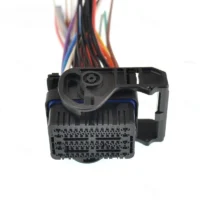 560065-5511 55-pin Female Connector Sealed Waterproof Pvc Auto Wire Housing Car Electrical Wiring Harness